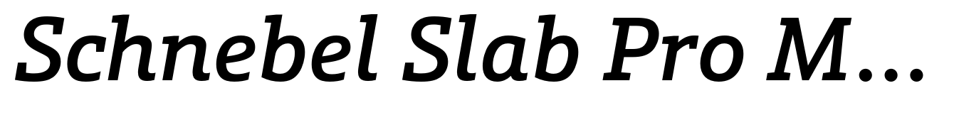 Schnebel Slab Pro Medium Italic